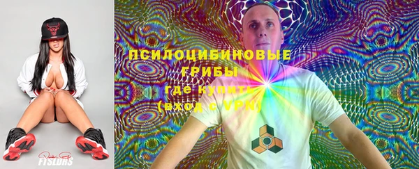 молекула духа Аркадак