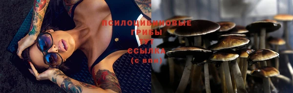 мяу мяу мука Арсеньев