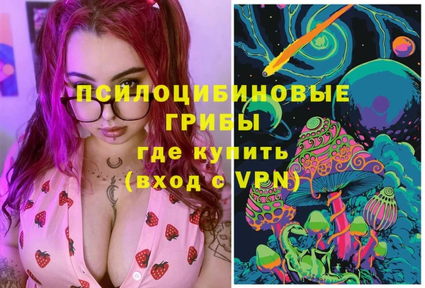 мяу мяу мука Арсеньев