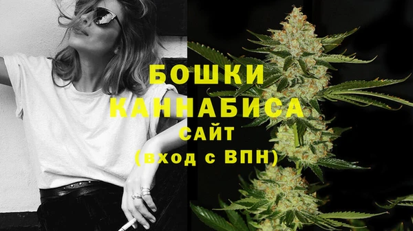молекула духа Аркадак