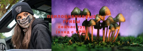 молекула духа Аркадак