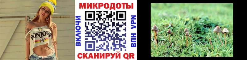 Псилоцибиновые грибы Psilocybine cubensis  Чишмы 