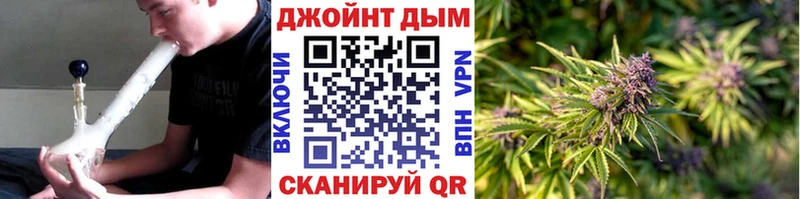 Бошки марихуана план  где купить наркотик  Чишмы 